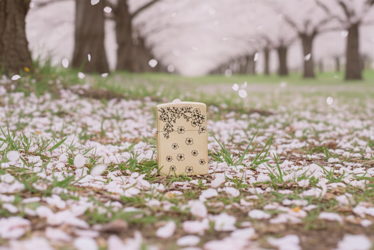 Cherry Blossom | Brass Armor Zippo