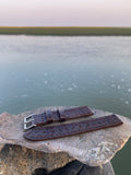 "Pickens" Watch Strap | American Alligator | Tobacco Stripe