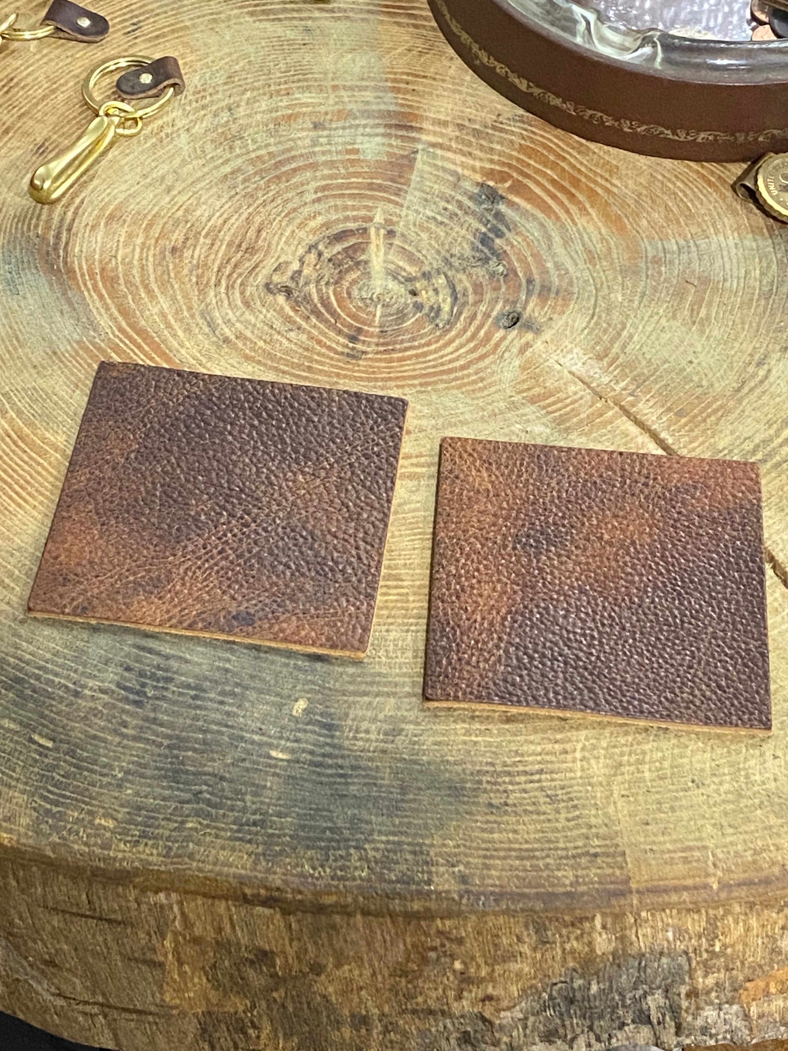 Drink Coasters | American Shrunken Bison | Bourbon